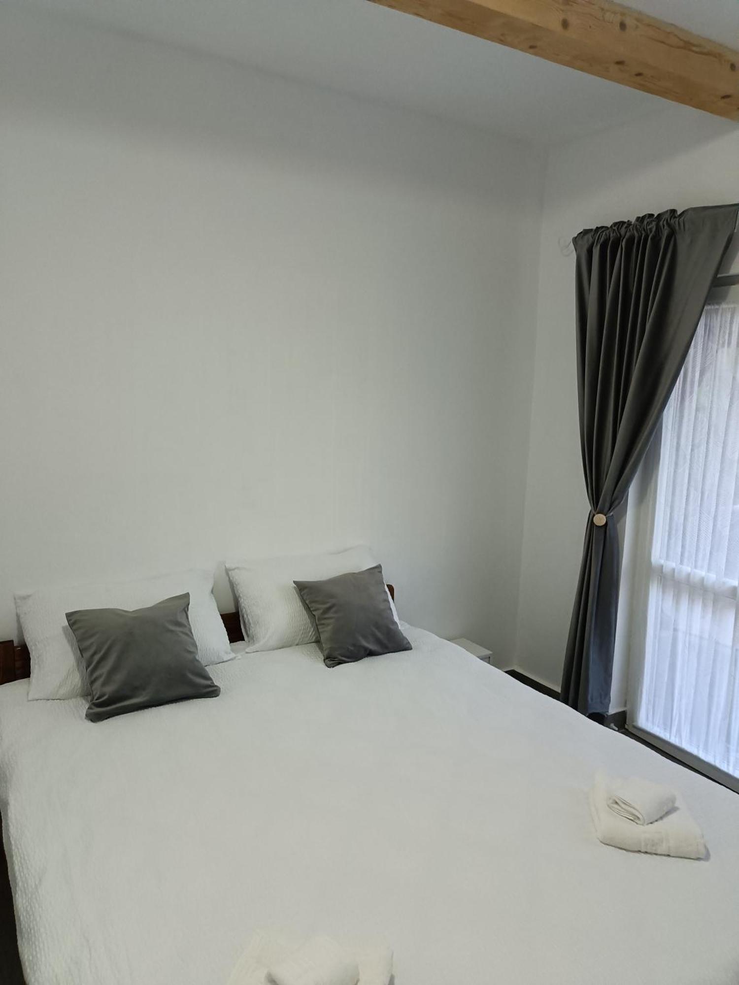 Casa Valentina Hotel Vişeu de Sus Екстериор снимка